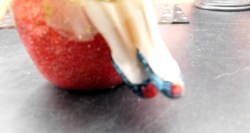 snow white porc shoes